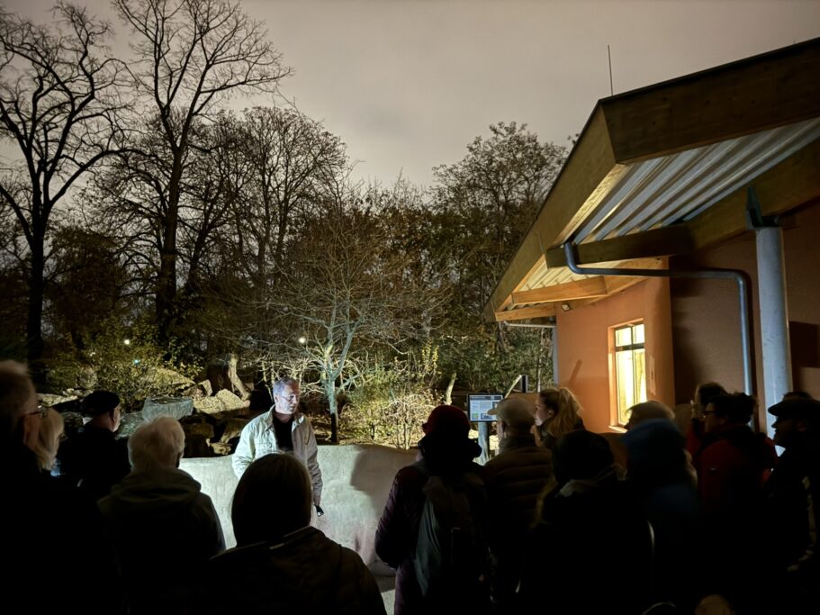 Camping im Zoo mit Nacht Safari_Zoo Magdeburg