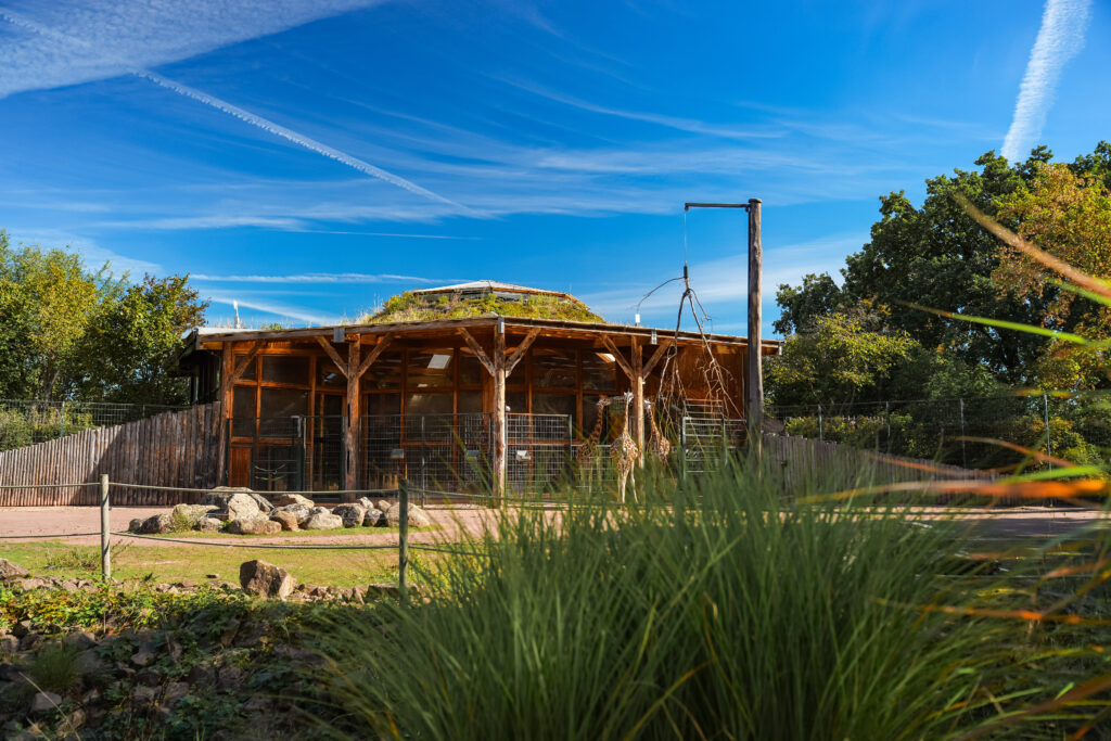 Giraffenhaus im Zoo Magdeburg